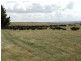 2462 Taralga Road, Laggan NSW 2583
