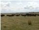 2462 Taralga Road, Laggan NSW 2583