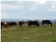 2462 Taralga Road, Laggan NSW 2583
