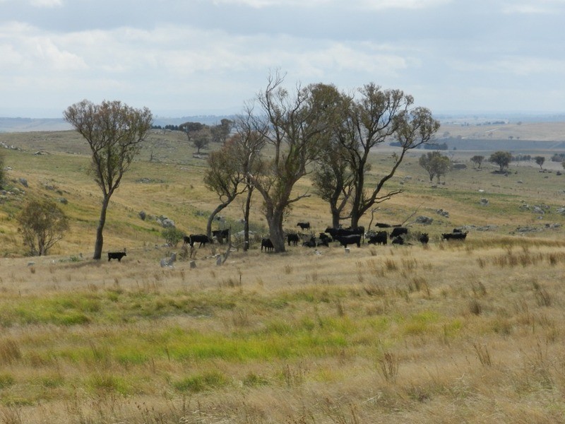 2462 Taralga Road, Laggan NSW 2583