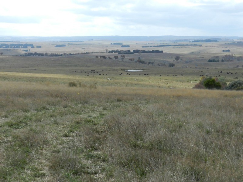 2462 Taralga Road, Laggan NSW 2583