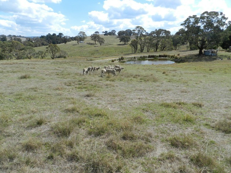“Croydon” Kangaloolah Road, Binda NSW 2583