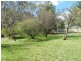 “Croydon” Kangaloolah Road, Binda NSW 2583