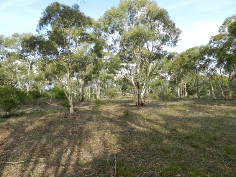 671 Towrang Road, Towrang NSW 2580