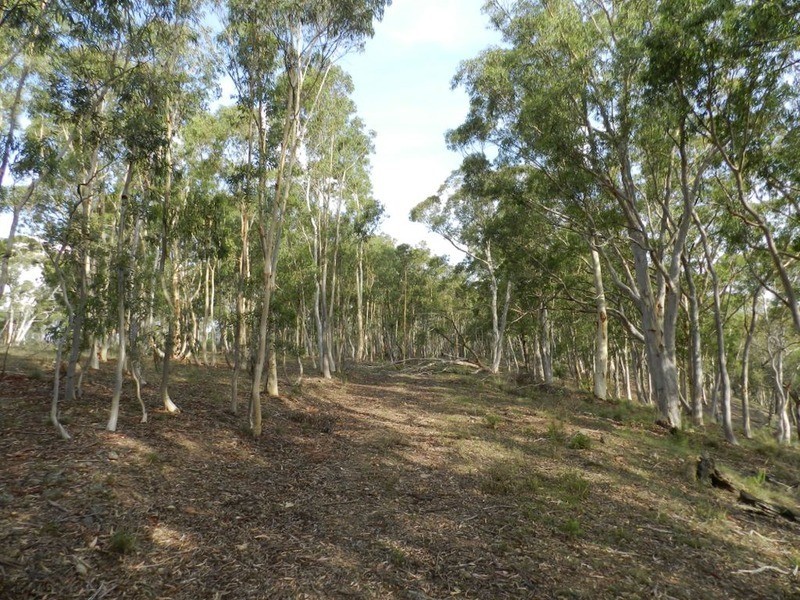 671 Towrang Road, Towrang NSW 2580