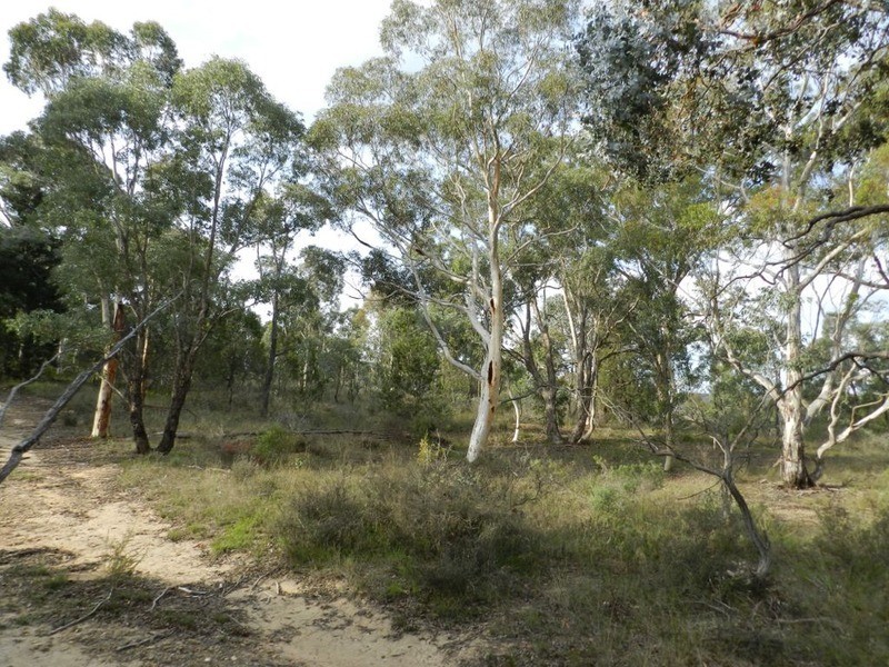 671 Towrang Road, Towrang NSW 2580