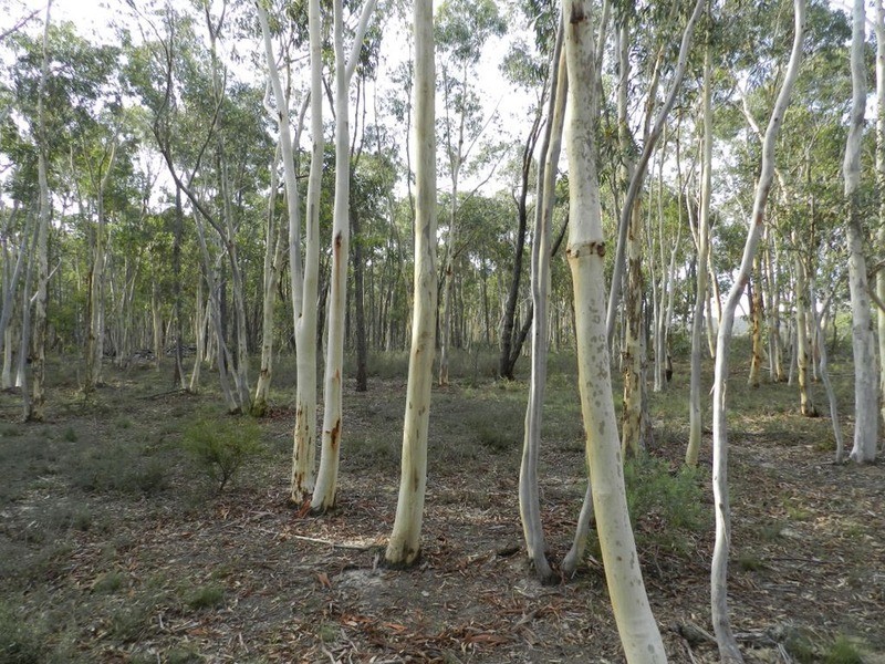671 Towrang Road, Towrang NSW 2580
