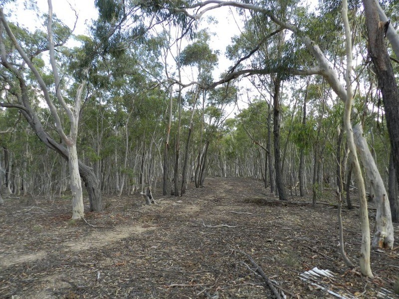 671 Towrang Road, Towrang NSW 2580
