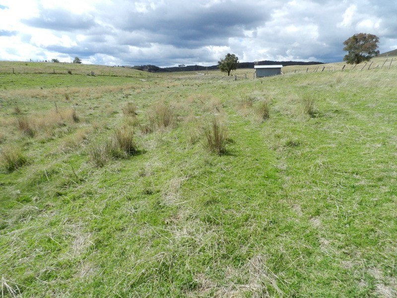 “Burwood Cottage” Crooked Corner, Binda NSW 2583