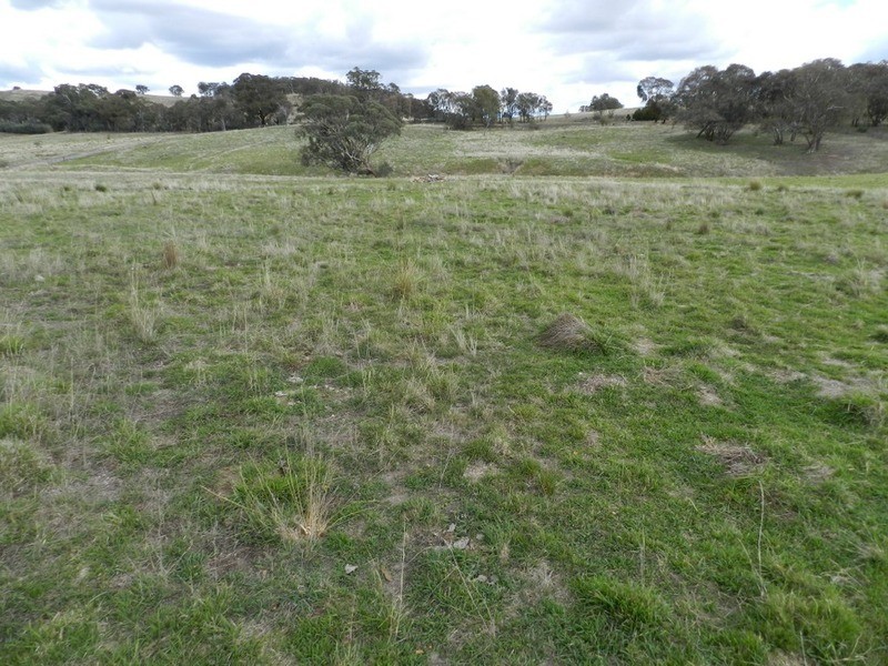 “Burwood Cottage” Crooked Corner, Binda NSW 2583