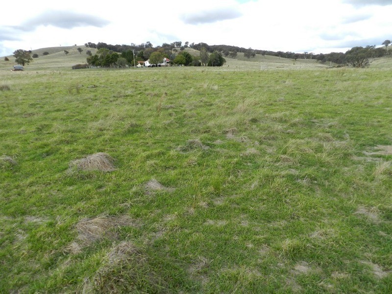 “Burwood Cottage” Crooked Corner, Binda NSW 2583
