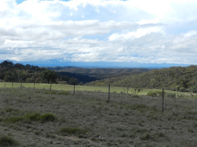 445 Bridge Creek Road, Binda NSW 2583