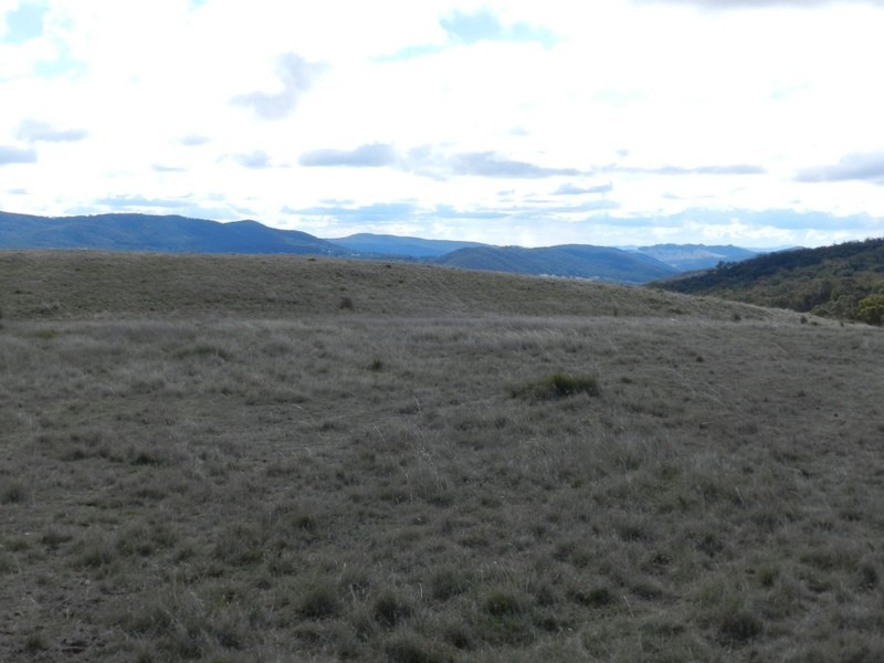 445 Bridge Creek Road, Binda NSW 2583