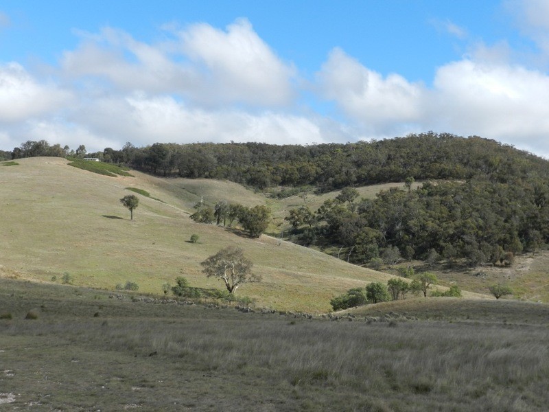 445 Bridge Creek Road, Binda NSW 2583