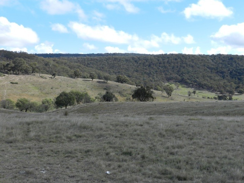 445 Bridge Creek Road, Binda NSW 2583