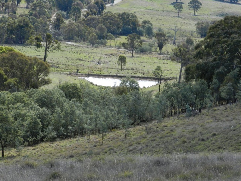 445 Bridge Creek Road, Binda NSW 2583