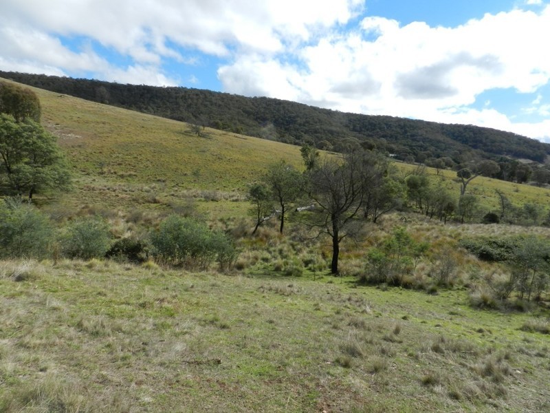 445 Bridge Creek Road, Binda NSW 2583