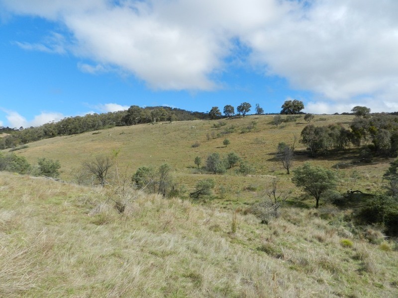 445 Bridge Creek Road, Binda NSW 2583