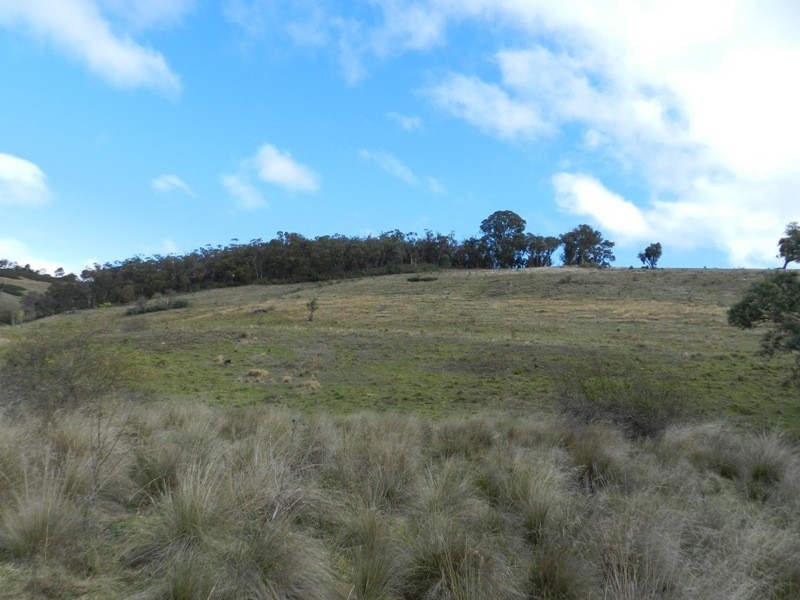 445 Bridge Creek Road, Binda NSW 2583