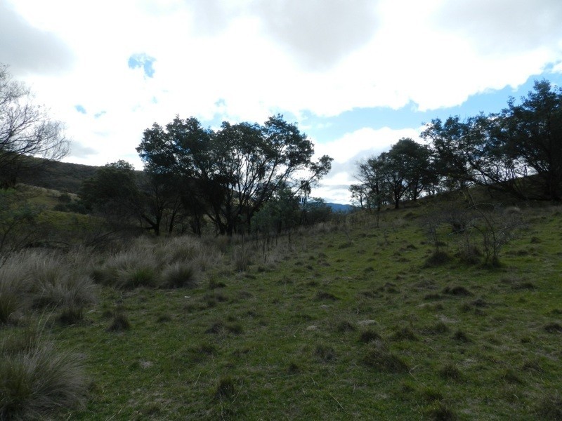 445 Bridge Creek Road, Binda NSW 2583