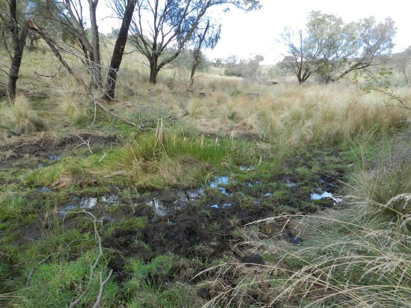 445 Bridge Creek Road, Binda NSW 2583