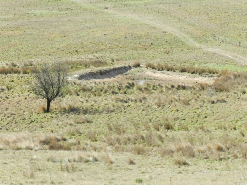 445 Bridge Creek Road, Binda NSW 2583