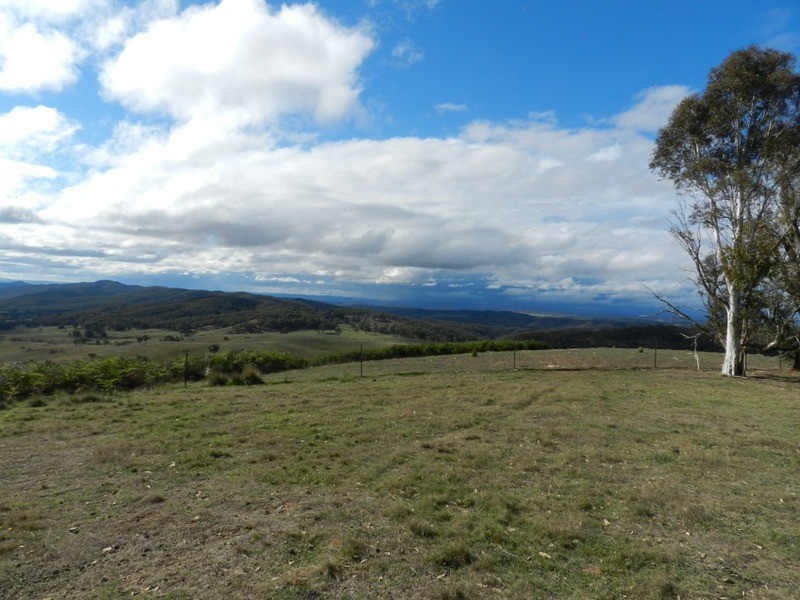 445 Bridge Creek Road, Binda NSW 2583