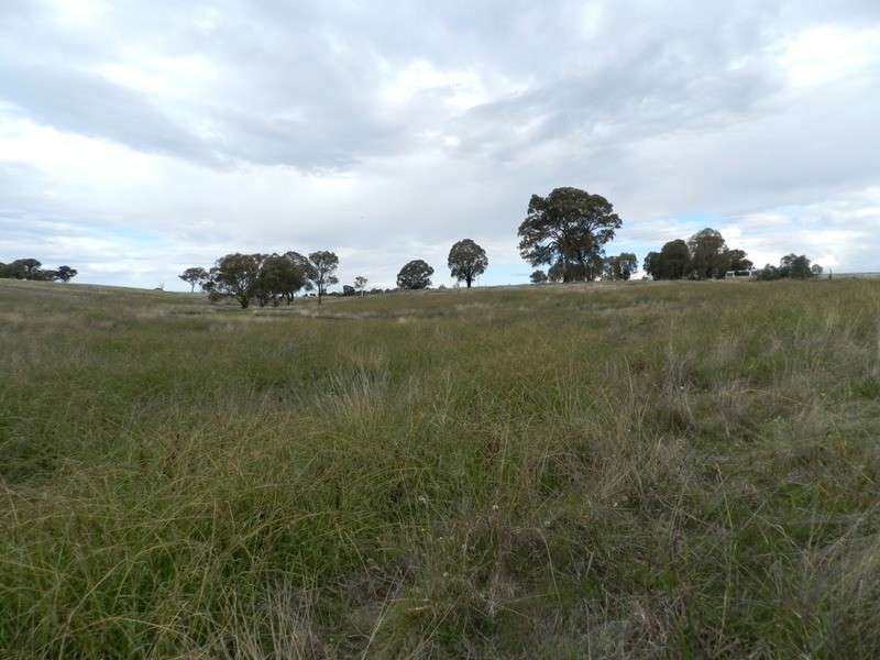 738 Jerrara Road, Crookwell NSW 2583