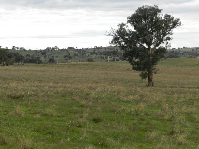 738 Jerrara Road, Crookwell NSW 2583