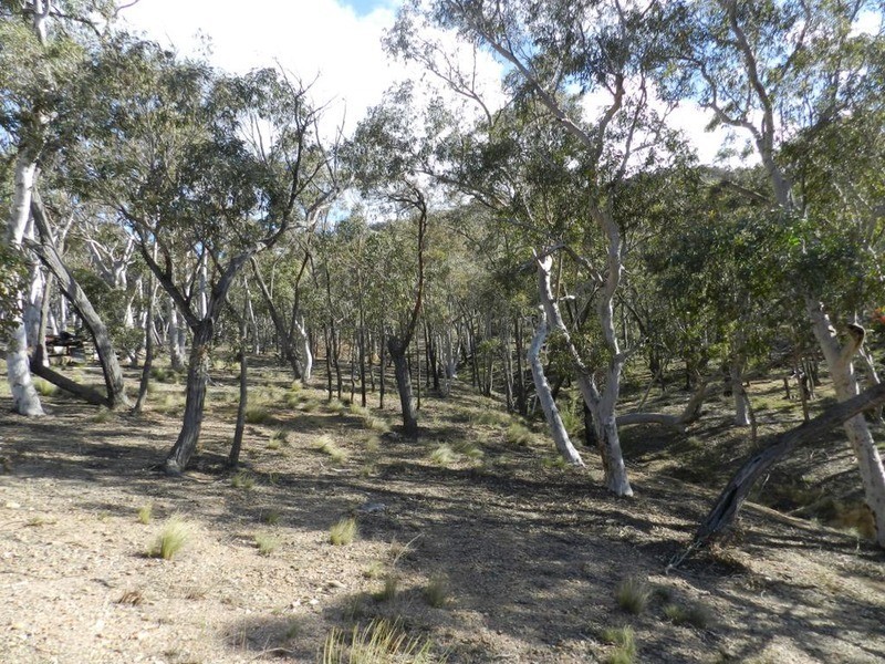 Lot 107 Off Tarlo River Road, Greenwich Park NSW 2580