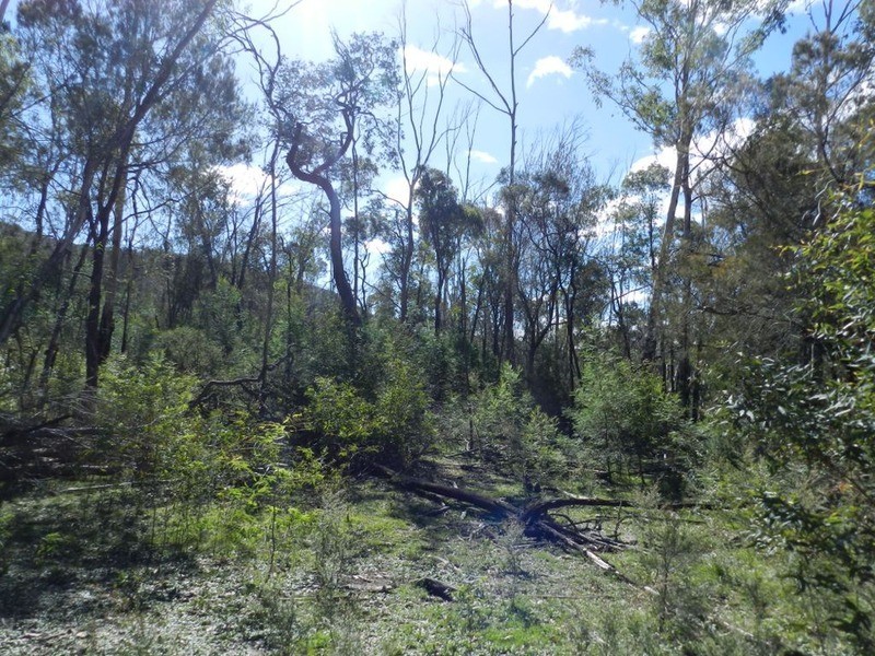 Lot 108 Off Tarlo River Road, Greenwich Park NSW 2580