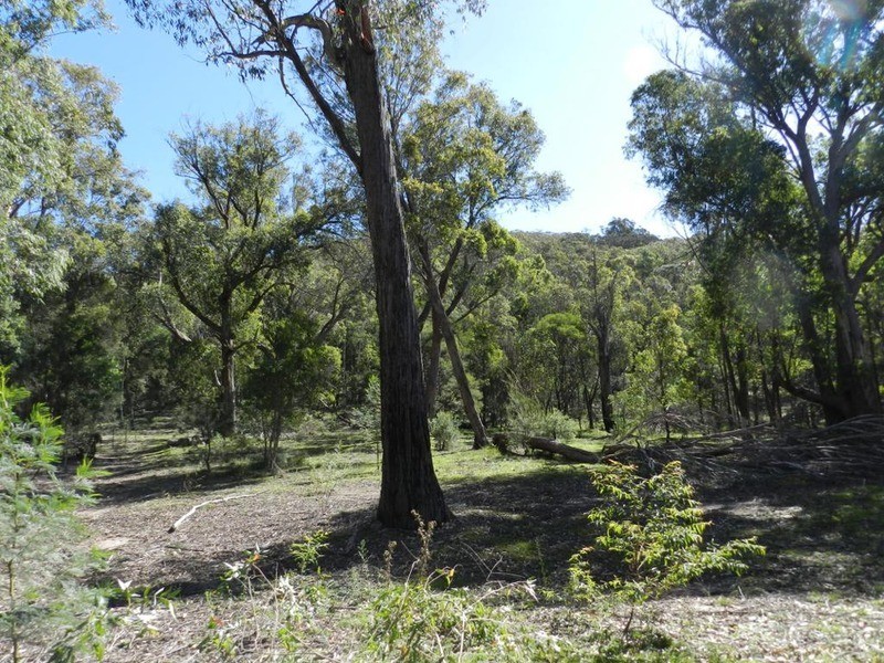 Lot 108 Off Tarlo River Road, Greenwich Park NSW 2580