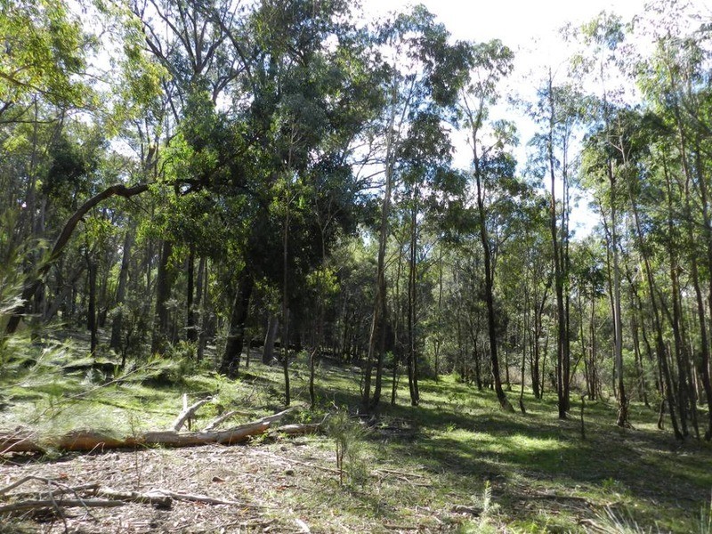 Lot 108 Off Tarlo River Road, Greenwich Park NSW 2580