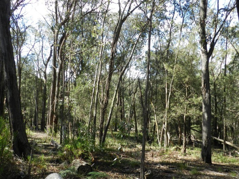 Lot 108 Off Tarlo River Road, Greenwich Park NSW 2580