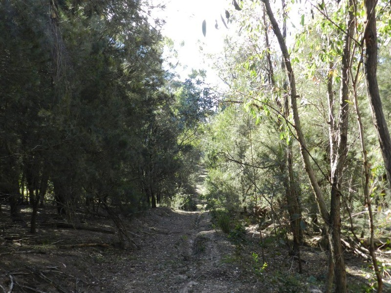 Lot 108 Off Tarlo River Road, Greenwich Park NSW 2580
