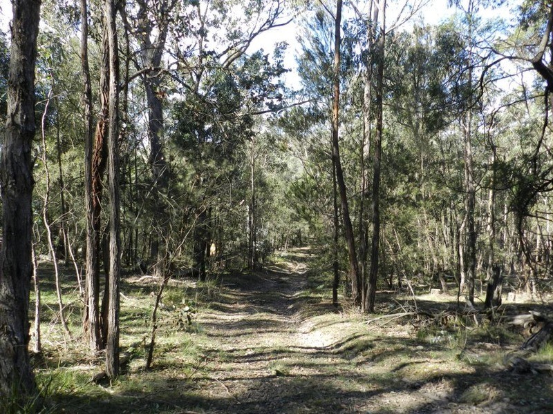 Lot 108 Off Tarlo River Road, Greenwich Park NSW 2580