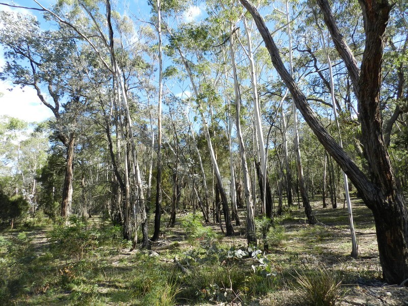 Lot 108 Off Tarlo River Road, Greenwich Park NSW 2580