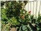 12 Mulwaree  Street, Goulburn NSW 2580