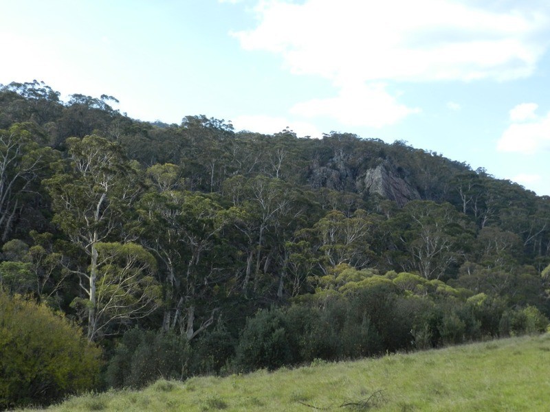 591 Off Jerrong  Road, Taralga NSW 2580