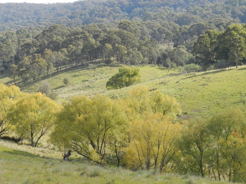 591 Off Jerrong  Road, Taralga NSW 2580