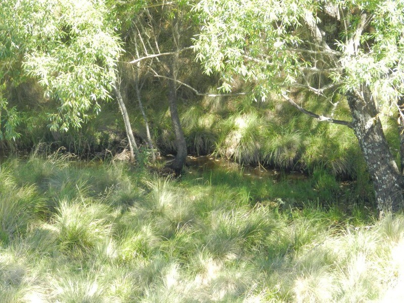 591 Off Jerrong  Road, Taralga NSW 2580