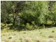591 Off Jerrong  Road, Taralga NSW 2580