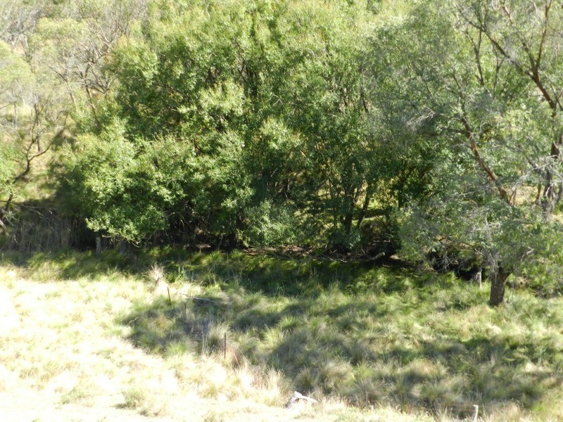 591 Off Jerrong  Road, Taralga NSW 2580