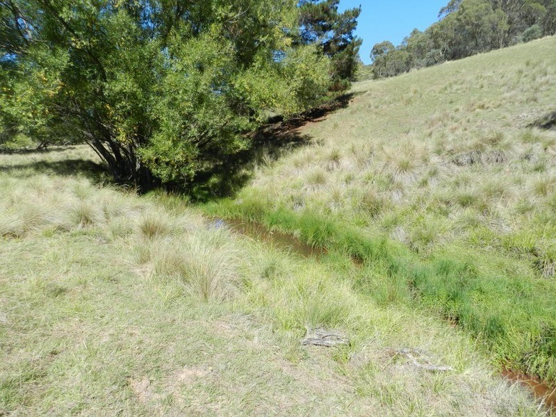 591 Off Jerrong  Road, Taralga NSW 2580