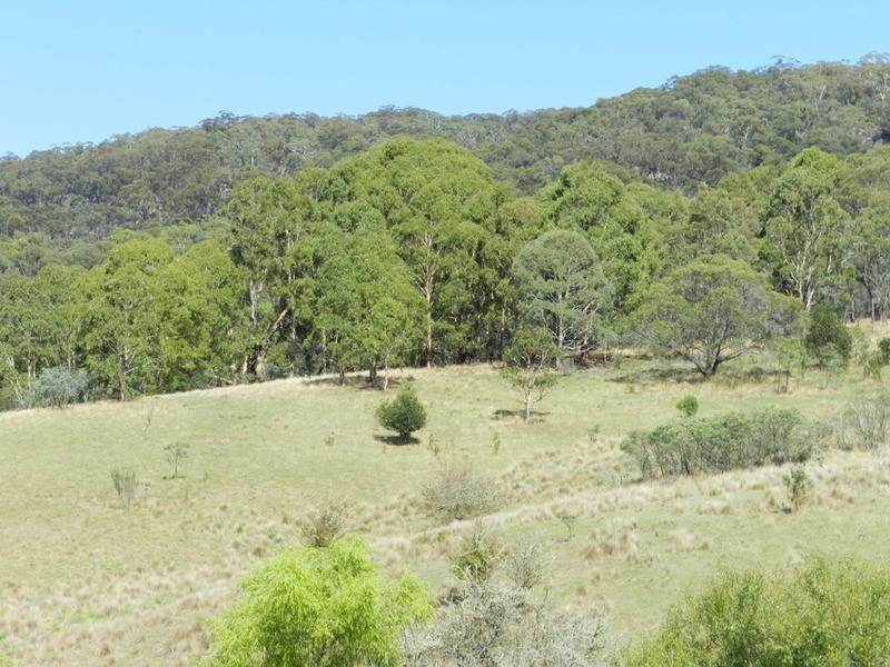 591 Off Jerrong  Road, Taralga NSW 2580