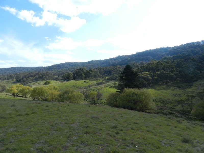 591 Off Jerrong  Road, Taralga NSW 2580