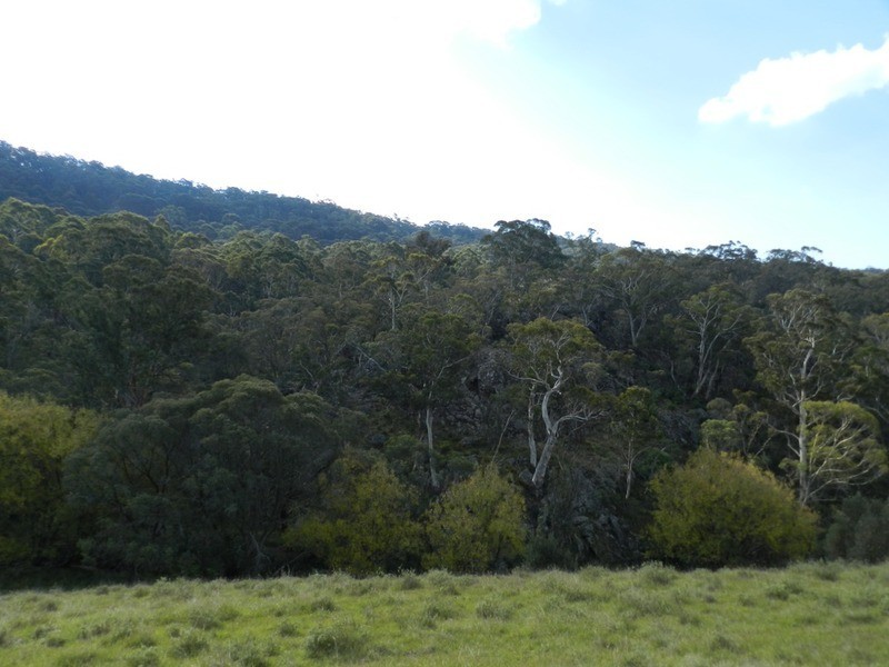 591 Off Jerrong  Road, Taralga NSW 2580