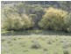 591 Off Jerrong  Road, Taralga NSW 2580
