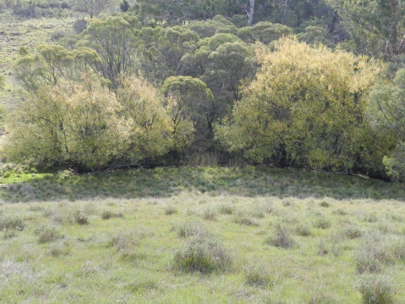 591 Off Jerrong  Road, Taralga NSW 2580