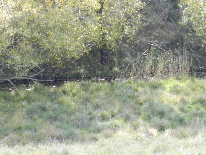 591 Off Jerrong  Road, Taralga NSW 2580